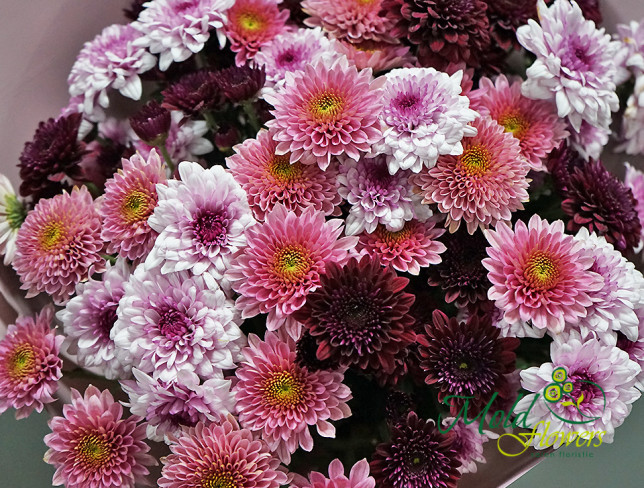 Chrysanthemum Bouquet ''Gentle Dreams'' photo
